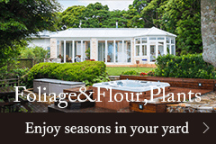 Foliage&Flour, Plants/Enjoy seasons in your yard